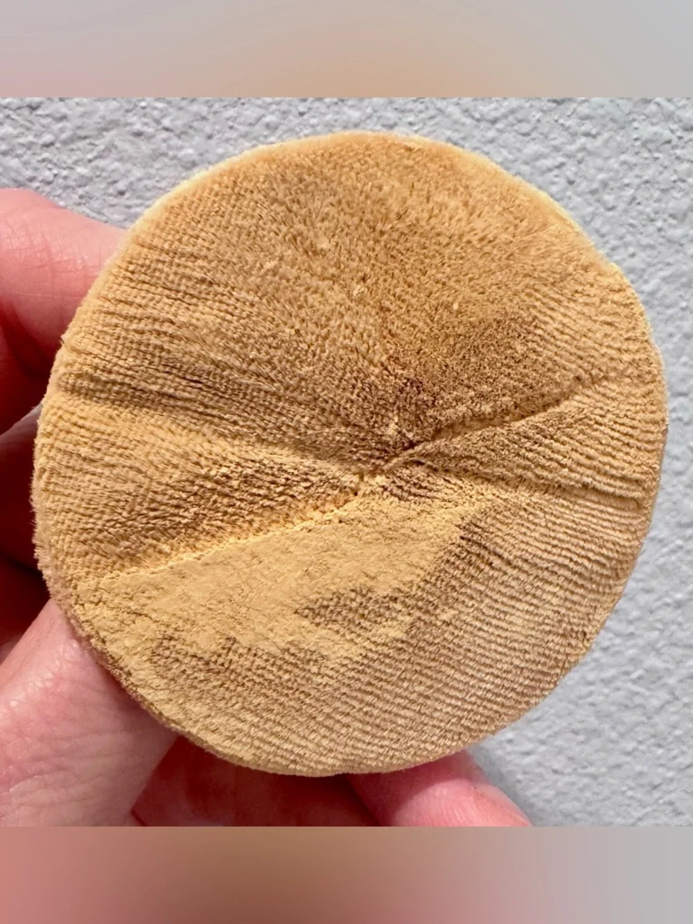 Like New Bobbi Brown Sheer Finish Loose Powder in Soft Sand